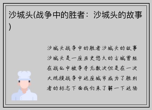 沙城头(战争中的胜者：沙城头的故事)
